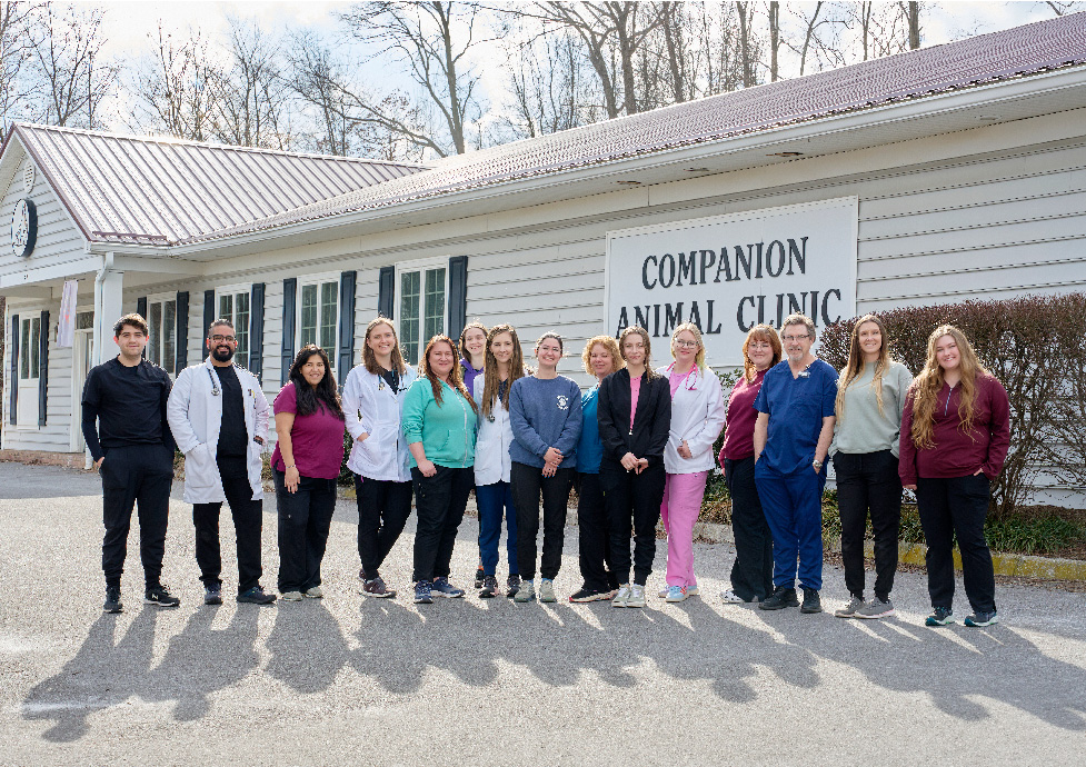 Companion Animal Clinic team infront of vet hospital signange
