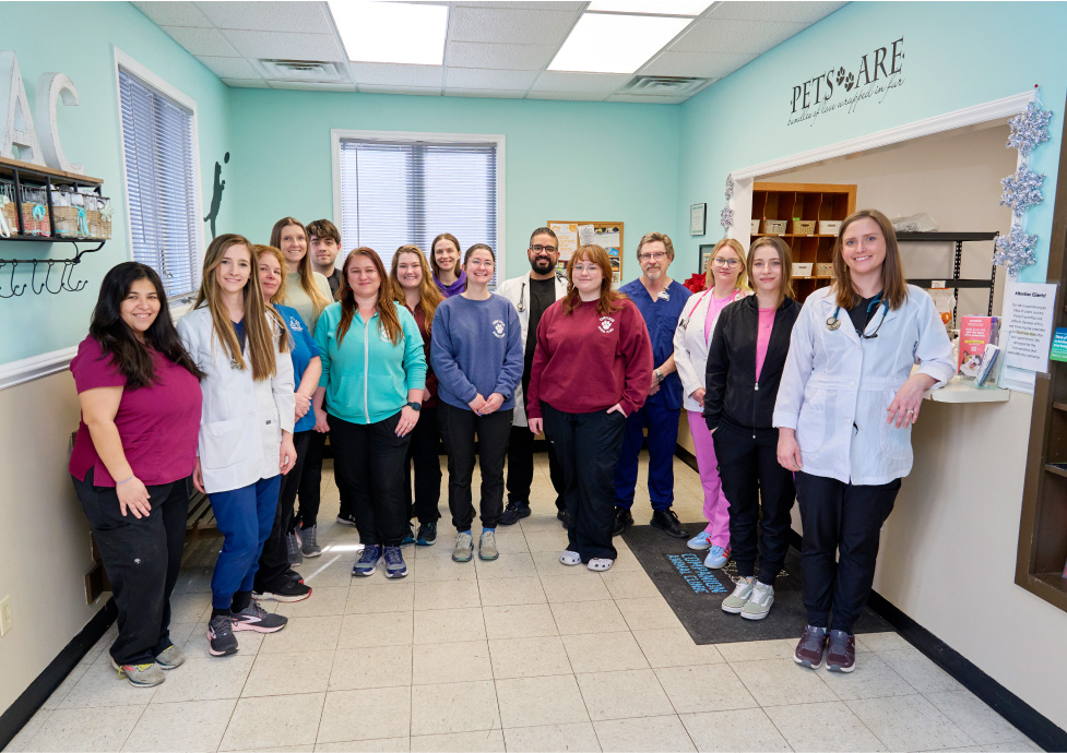 Companion Animal Clinic team standing inside lobby