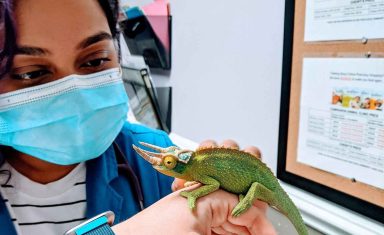 Dr Kadam with a reptile